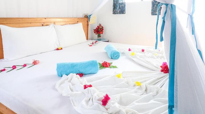 New Teddy's on the Beach