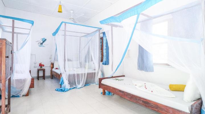 New Teddy's on the Beach