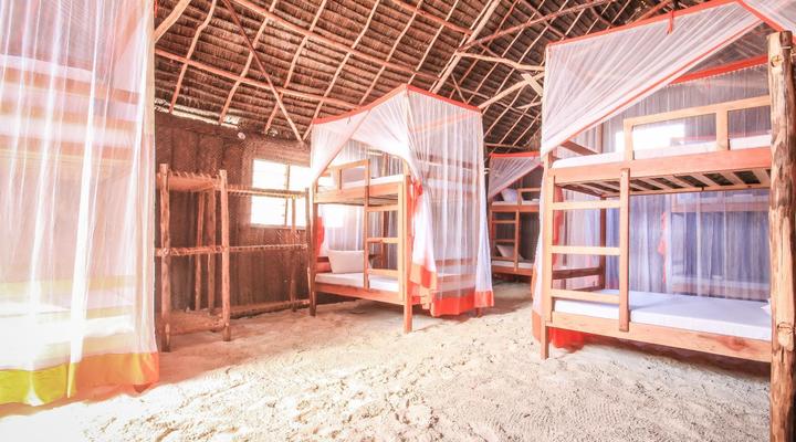 New Teddy's on the Beach