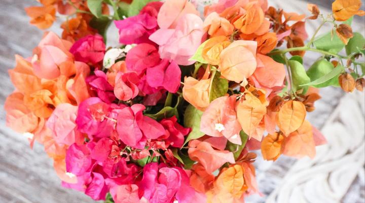 New Teddy's on the Beach