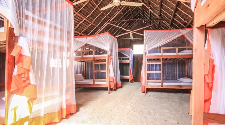 New Teddy's on the Beach