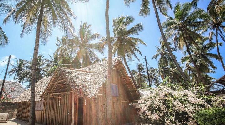 New Teddy's on the Beach