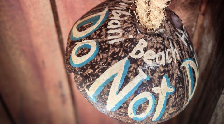 New Teddy's on the Beach