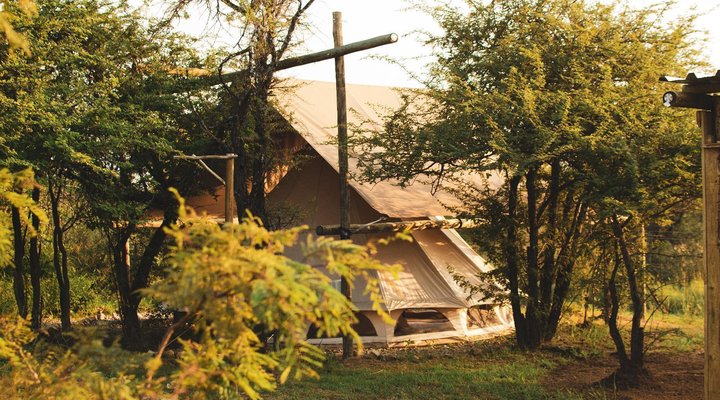 The Leadwood Safari Camp