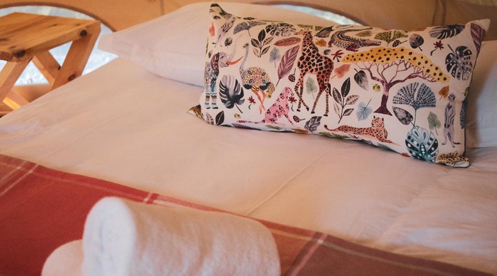 The Leadwood Safari Camp