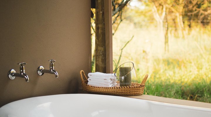 The Leadwood Safari Camp