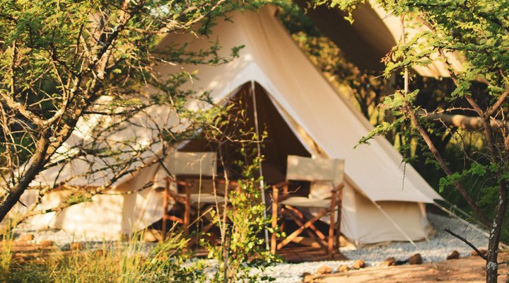 The Leadwood Safari Camp