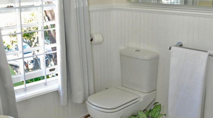 Milkwood Manor on Sea