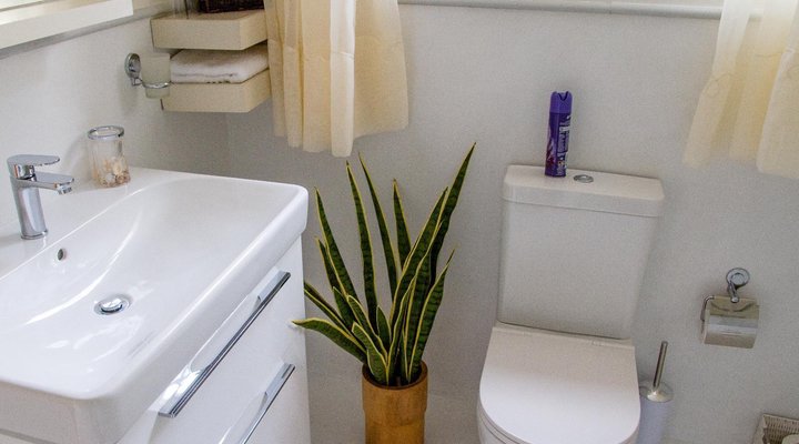 Milkwood Manor on Sea