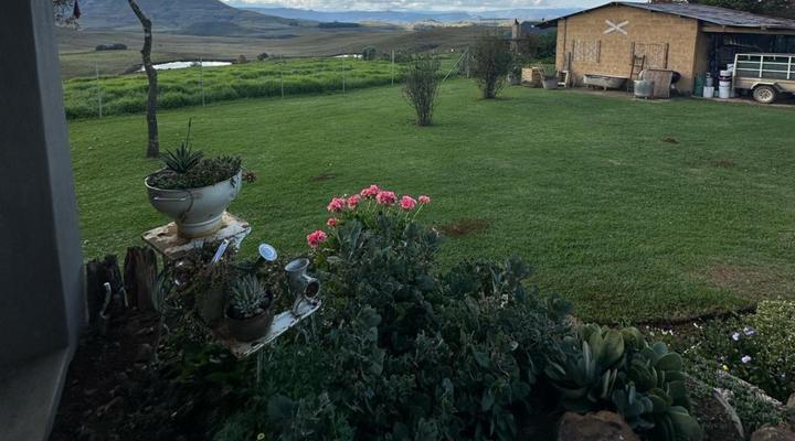 Ripon Country Cottages