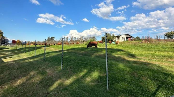 Ripon Country Cottages