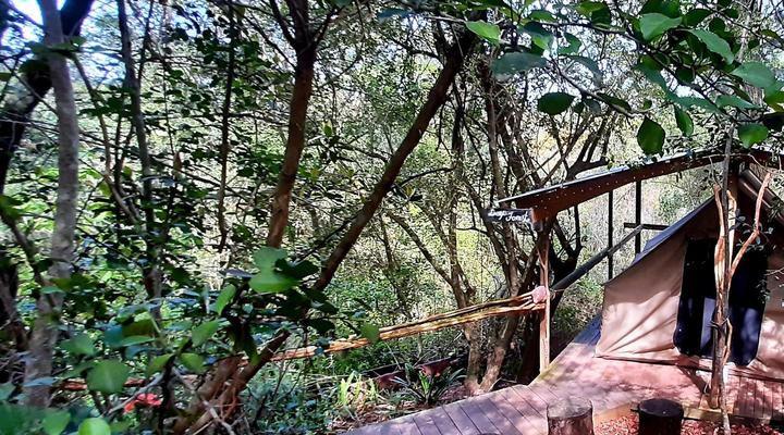 Peace of Eden ~ Vegan Forest Escape