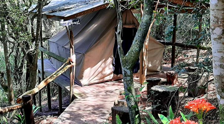 Peace of Eden ~ Vegan Forest Escape