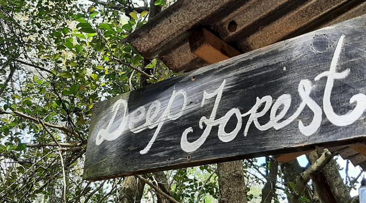 Peace of Eden ~ Vegan Forest Escape