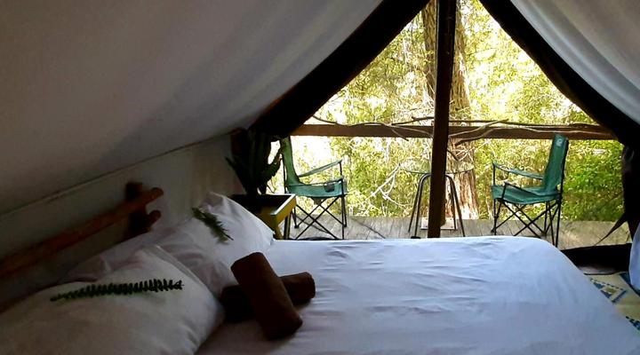 Peace of Eden ~ Vegan Forest Escape