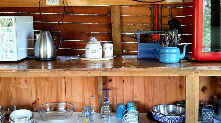 Peace of Eden ~ Vegan Forest Escape