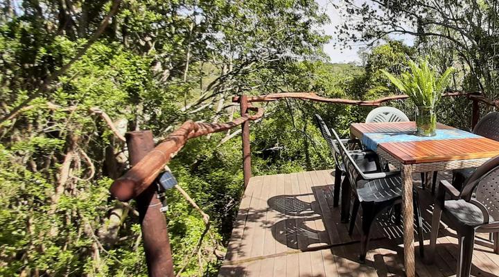 Peace of Eden ~ Vegan Forest Escape