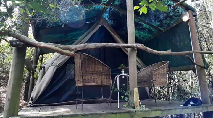 Peace of Eden ~ Vegan Forest Escape