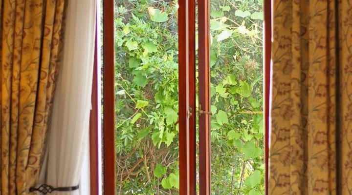 Leonora @ Welgemoed Manor