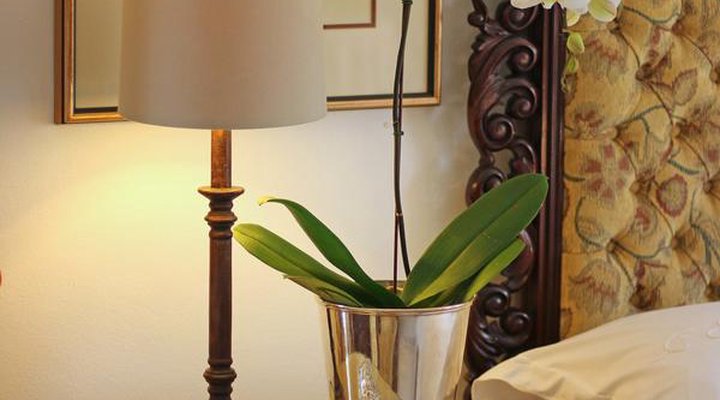 Leonora @ Welgemoed Manor