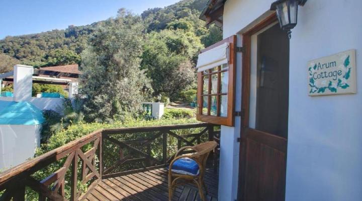 Mont Fleur - Wilderness