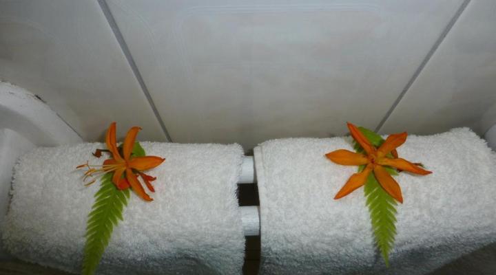 Mont Fleur - Wilderness