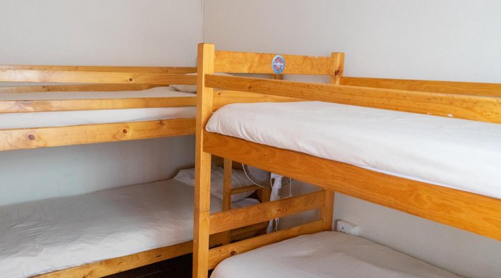 Shark Shack Backpackers