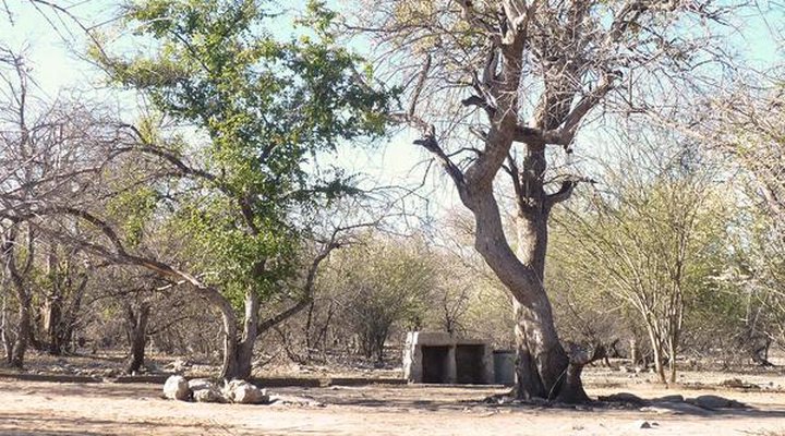 Thakadu Bush Camp