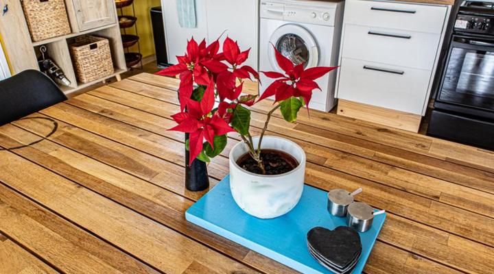 Baytown Holiday Accommodation