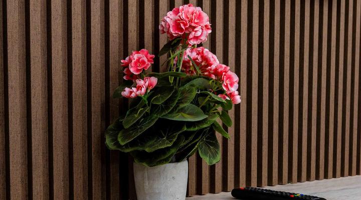 The Space Guest House - Vryheid