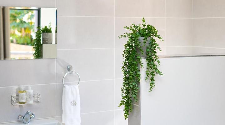 Sage Haven Guesthouse