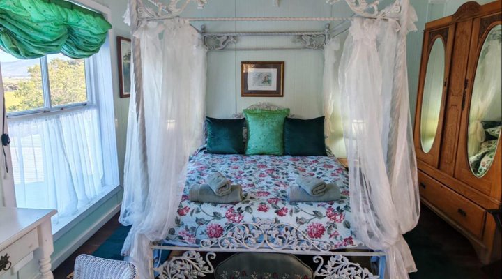 Outeniqua Moon Stud and Guest Farm