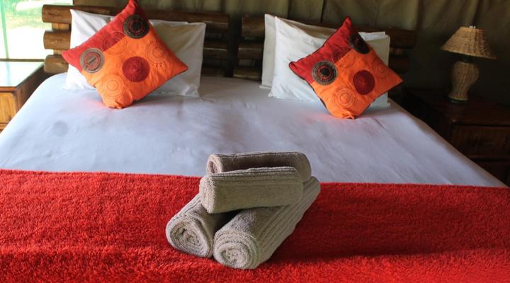 Savannah Game and River Retreat