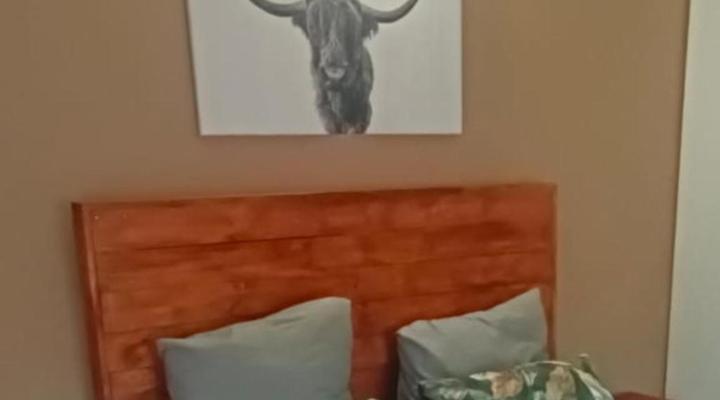 Zebras Drift by Heybert