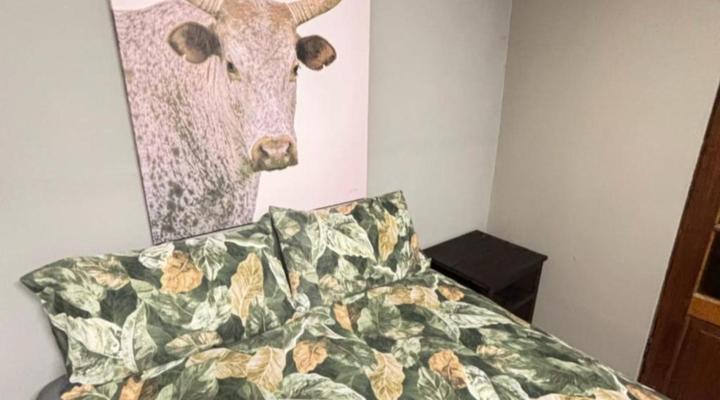 Zebras Drift by Heybert