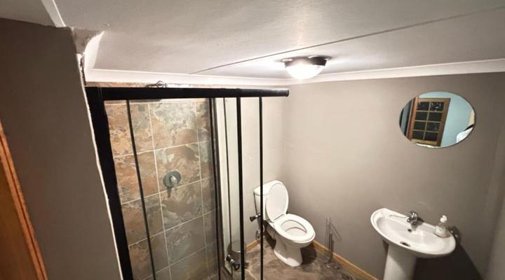 Zebras Drift by Heybert