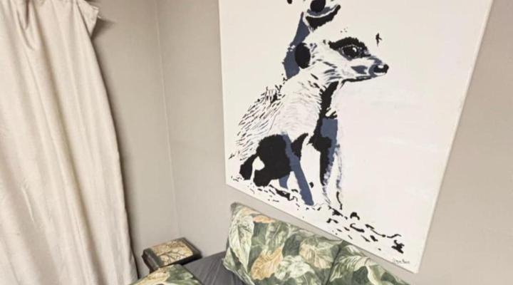 Zebras Drift by Heybert