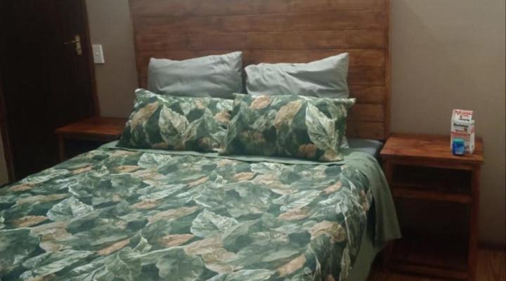 Zebras Drift by Heybert