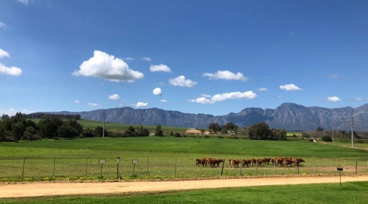 Klein Eikeboom Cottages