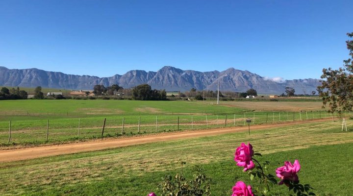 Klein Eikeboom Cottages
