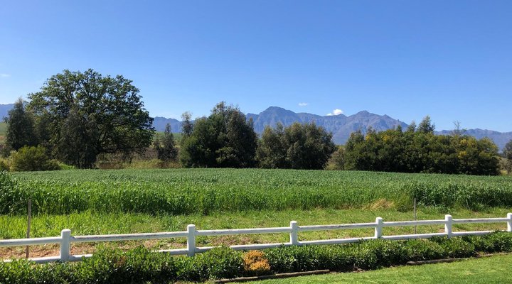 Klein Eikeboom Cottages