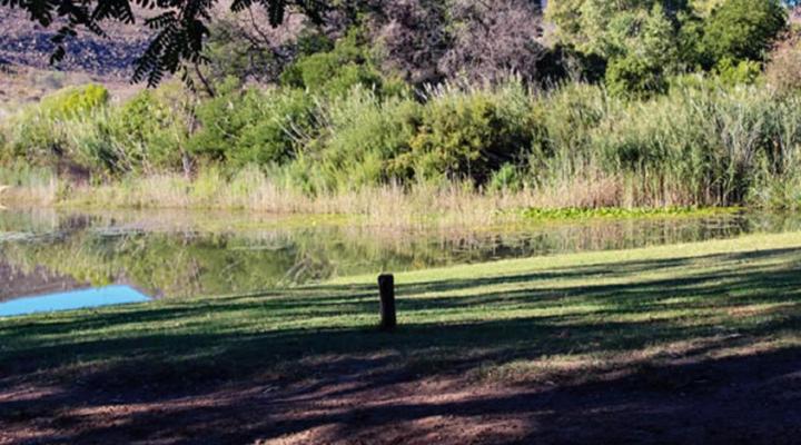 Biedouw Valley Wegbreek