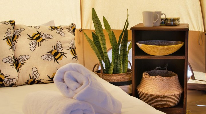 The Leadwood Safari Camp