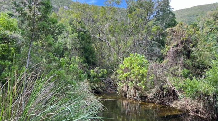 Krugerskop-Kloof Wilderness Camp & Hiking