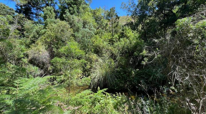 Krugerskop-Kloof Wilderness Camp & Hiking