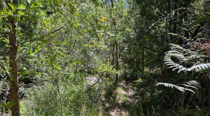Krugerskop-Kloof Wilderness Camp & Hiking
