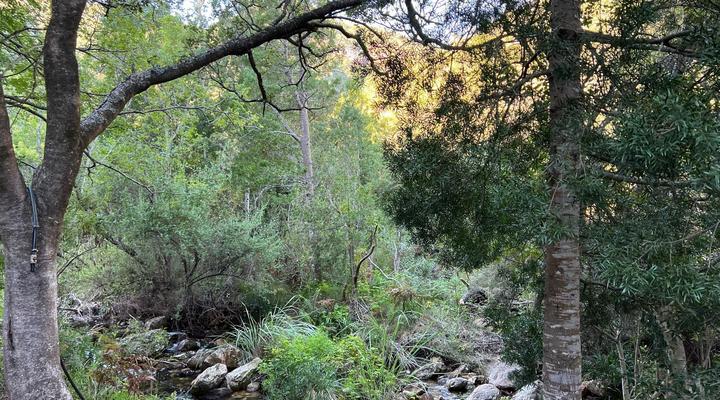 Krugerskop-Kloof Wilderness Camp & Hiking