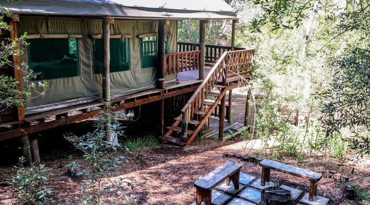 Fernhill Tented Treehouses