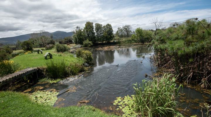 Tenikwa Family Suites