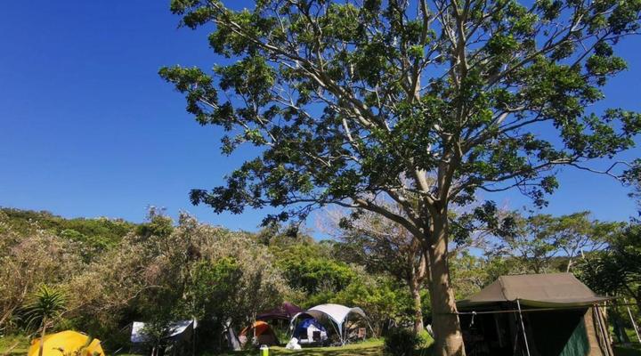 Buccaneers Beach Lodge